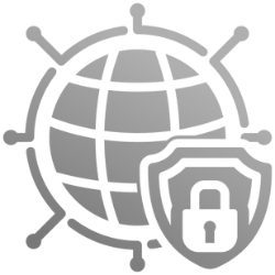 Network Security Icon