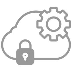 Cloud Security Icon